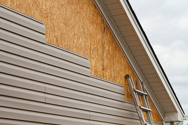 Professional Fiber Cement Siding technician working in Vienna, IL